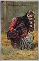 Thanksgiving Greeting Ernest Nister Glitter Decorated Turkey 1913 Postcard X9 - £9.36 GBP
