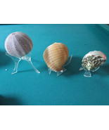 Shells Shells Shells on Stand Paperweight Puffer Fish - Pick One - $129.93 CAD