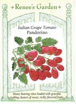 GARTOP Tomato Italian Grape Padorino Heirloom Vegetable Seeds - Renee&#39;S ... - $5.00