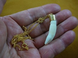 (G167-9) 1-3/4&quot; Alligator gator T**th Gold plated brass capped pendant n... - $30.99