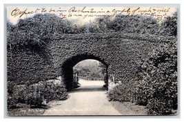 Ivy Arch Delaware Park Buffalo New York NY 1906 Rotograph UDB Postcard U4 - $1.73