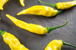 Aji Pineapple Chili Peppers Large Vegetable 25 seeds - £7.33 GBP