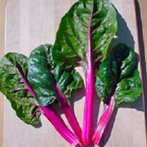 Swiss Chard Seeds Magenta Sunset 200 Seeds Garden USA Seller - £10.33 GBP