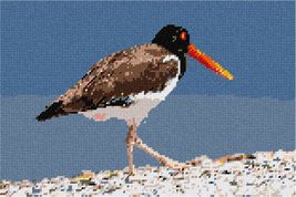 Pepita Needlepoint kit: Oystercatcher, 12&quot; x 8&quot; - $86.00+