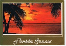 Florida Postcard Sunshine State Tropical Sunset Seacoast - $2.05