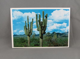 Vintage Postcard - Saguaros on the Desert - Petley - £11.99 GBP