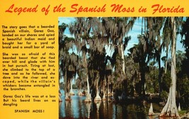 Vintage Postcard Legend Of The Spanish Moss Florida Unstamped Blank - £1.56 GBP