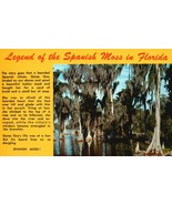 Vintage POSTCARD Legend of the Spanish Moss Florida UNSTAMPED BLANK - $2.71 CAD