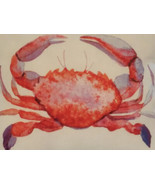 Lava Pillows W Crab 18&quot; X 18&quot; Throw Polyester Pillow - £23.67 GBP