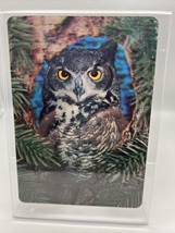 Vintage 3D Postcard Collector Series Super Dimension Owls Must See In Person - £11.18 GBP