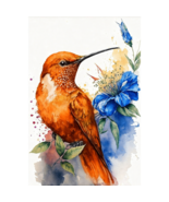 Hummingbird Flowers Diamond Art Painting Kits for Adults-DP15 - $289.02 MXN+
