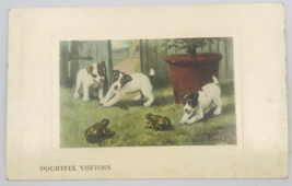 1912 Doubtful Visitors Dogs &amp; Frogs Playing Postcard Franklin 1 Cent Stamp - $9.49