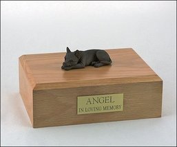Chihuahua Short Hair Chocolate Cremation Urn on a Wood Box (Medium, Maple) - £97.17 GBP