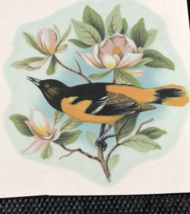 M96 - Ceramic Waterslide Vintage Decal - 2 Oriole - 2.5&quot; - $28.55 MXN