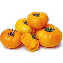 Yellow Brandywine Tomato Seeds - £6.00 GBP