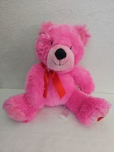 2014 Animal Adventure Bear Plush Stuffed Animal Pink Red Bow Heart on Foot - $24.73