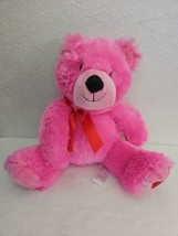 2014 Animal Adventure Bear Plush Stuffed Animal Pink Red Bow Heart on Foot - £19.69 GBP