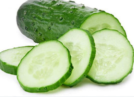 25 Bush Cucumber Seeds Spacemaster Cucumber Bush Type Plant Container Fr... - $3.98