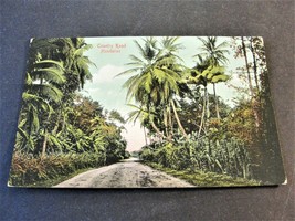 Country Road, Honduras - Tarjeta Postal -1900s Unposted Postcard. RARE. - £26.34 GBP