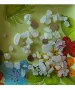 40+ Pieces ~ Genuine Lake Erie Beach Glass ~ Surf Tumbled ~ White in Col... - $30.69 CAD