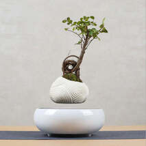 Floating Magnetic Flower Pot – Levitating Polygonal Planter - $60.00
