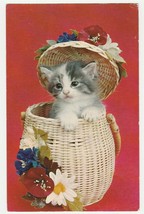 Vintage Postcard Kitten Pops Out of Basket 1960&#39;s Unused Cat Card - £5.54 GBP