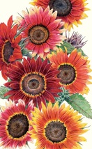 4 Grams Drop Dead Red Sunflower Seeds #MNHG - £16.43 GBP
