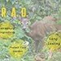Item image 14