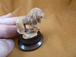 (tb-lion-2) standing male Lion Tagua NUT palm figurine Bali carving love lions - £28.12 GBP