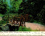 Rustic Bridge Panther Hollow Road Pittsburg Pennsylvania 1907 UDB Postcard - $3.91