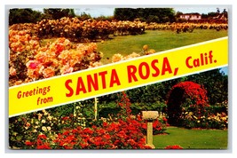 Dual View Banner Greetings From Santa Rosa California CA Chrome Postcard S15 - £3.22 GBP