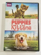 The Wonderful World Of Puppies And Kittens Dvd Bbc Cat Dog Pets New First Year - £7.07 GBP