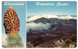 Maui Multi-View Silversword &amp; Haleakala Crater Postcard - £5.49 GBP