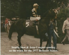 1977 - SEATTLE SLEW coming on track for the Belmont Stakes - Color - 10&quot; x 8&quot; - £15.80 GBP