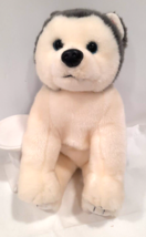 Ty Beanie Buddy Nanook Husky Puppy Dog Plush Animal 1999 Retired 12" Blue Eyes - £12.70 GBP