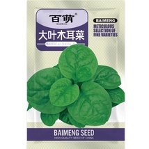 Ceylon Spinach &quot; Malabar Spinach Green, Asian Climbing Spinach, 100 SEEDS D - £9.63 GBP