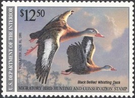 RW57, Black Belled Whistling Federal Duck Stamp Vf Nh - Stuart Katz - £12.74 GBP