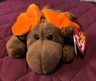 CHOCOLATE -The Moose ✳︎RARE ERRORS✳︎ - Ty Beanie Babies  1993 Item image 13