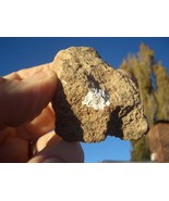 COFFINITE URANIUM ROCK    URAVAN  36,382. CPM   1.7 oz.  $27.00 + $9.50 ... - $27.00