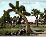 Man Sitting Under Yucca Palms In Desert California UNP Unused DB Postcar... - $10.33