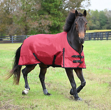 Gatsby Premium 1200D Waterproof Turnout Sheet - $140.95