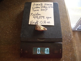 Item image 12