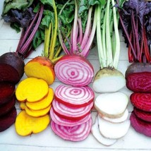 Rainbow Beet Collection Five Fancy S 300 Mixed Seeds Fall Garden Saute S... - £5.15 GBP