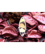 Navia Jewelry Butterfly Wings Delias anjae Silver Ring NR-9F-12 - $2,111.97 MXN