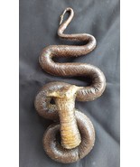 Taxidermy  Hunting  mounted cobra snake hanging stuffed - $3,728.65 MXN