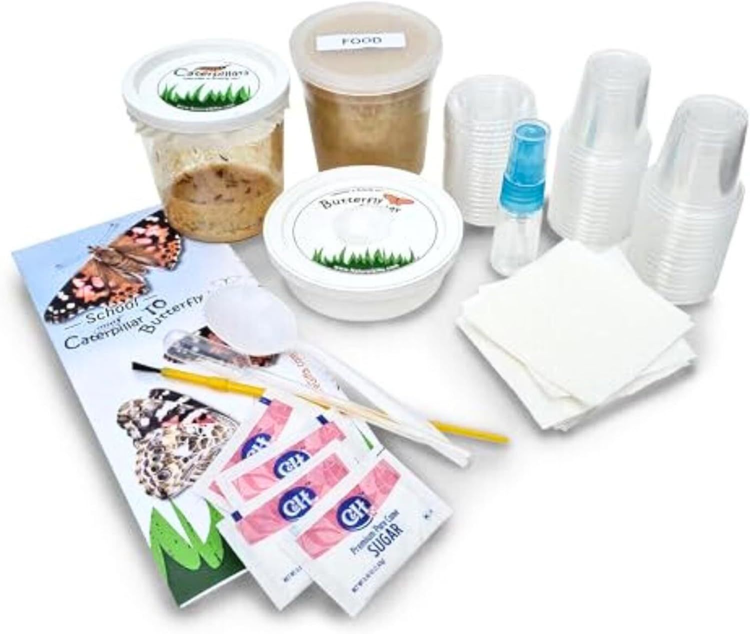 32 Live Caterpillars Shipped Now Butterfly Kit Refill for School Sized K... - £58.70 GBP