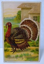 Thanksgiving Greeting Postcard Turkey Julius Bien 1908 Embossed Toledo Ohio 9203 - £9.01 GBP
