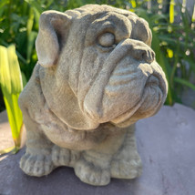 Concrete English Bulldog Garden Statue Outdoor Stone British Dog Ornamen... - $69.50