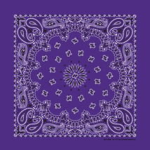 Carolina Creative Bandanna (Purple) Paisley Print 22&quot; x 22&quot; Hav-A-Hank - £5.89 GBP