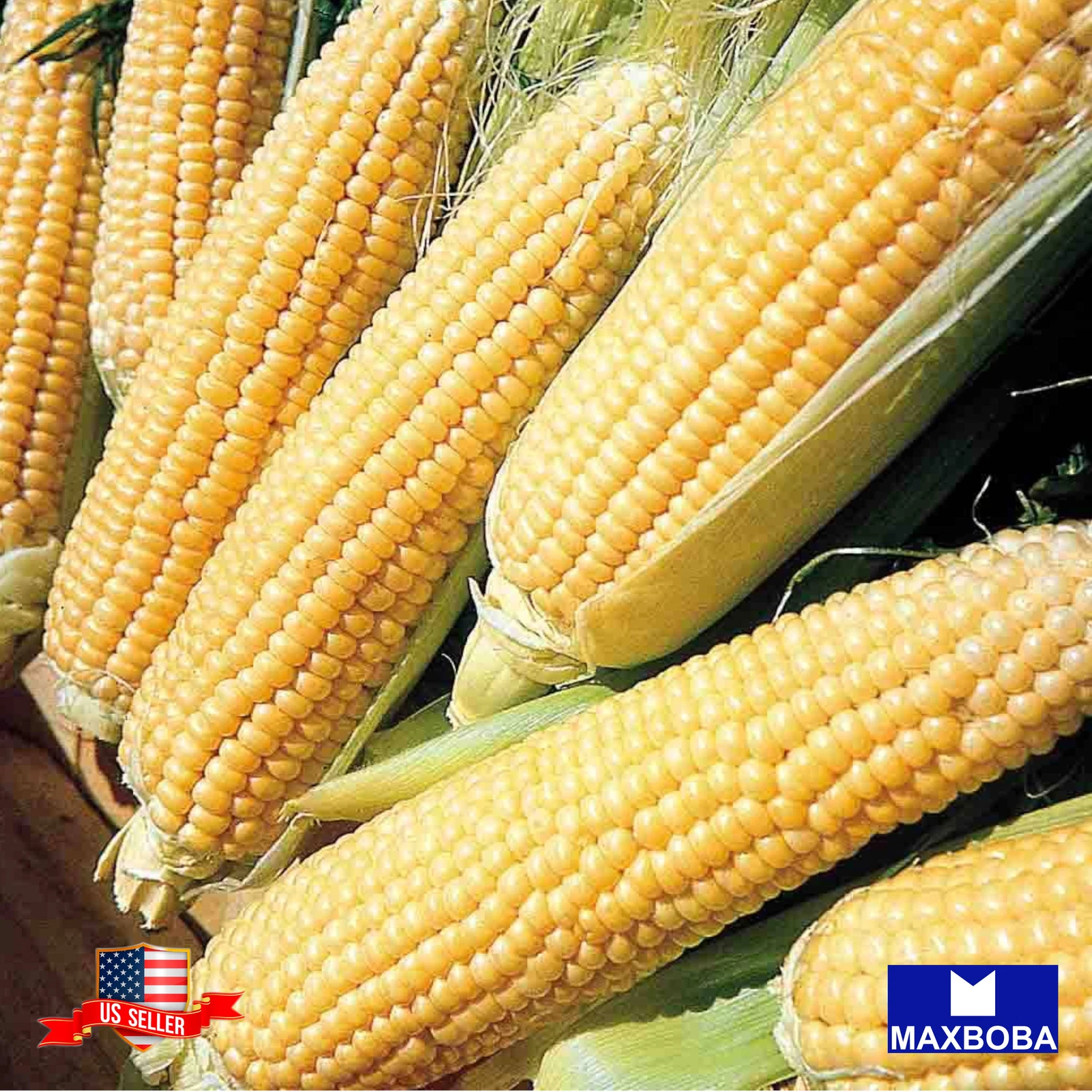 Corn Seeds (se) - Kandy Korn Hybrid Vegetable Garden Non-GMO - $9.08